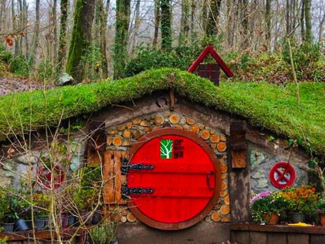 Günübirlik Hobbit Evleri Ormanya Tabiat Parkı Maşukiye Sapanca Turu 